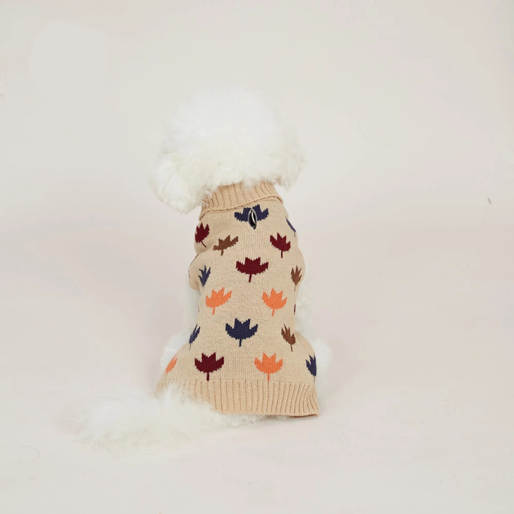 0-080f12.jpeg On voit un chien bichon blanc, assis de dos avec un pull beige imprimé de feuilles aux couleurs d'automne