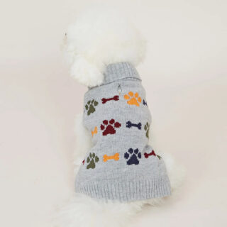 on voit un bichon de dos qui porte un pull gris avec des motifs os et pattes de chien